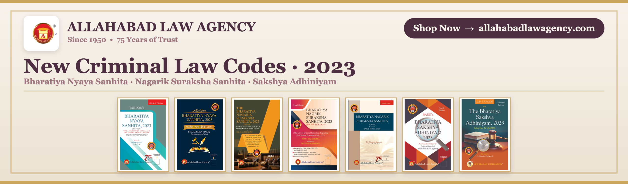 ALA Slider Criminal Codes English 2026 Pastel